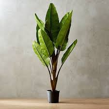 72 Faux Banana Tree Tall Indoor Plants Best Indoor Plants Plants