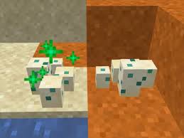 Baby turtles are the final goal in the process of how to breed turtles in minecraft. How To Breed Turtles In Minecraft 7 Steps With Pictures