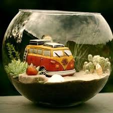 Son Gunlerin En Guzel Geri Donusumlerinden Biri Evinizde Kullanmadiginiz Akvaryum Vazo Kavanoz Varsa Degerlen Mini Garden Beautiful Terrariums Miniature Garden