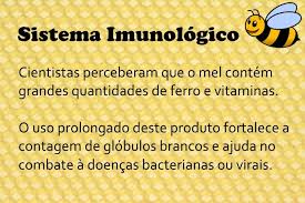 Canela Com Mel Serve Para Quê Pin On Saude E Bem Estar
