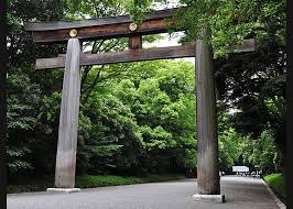 12.28 mide866 진구지 나오 (神宮寺ナオ nao jinguji). æ—¥æœ¬é¦–éŠæ—å¿…çœ‹ æ˜Žæ²»ç¥žå®®åƒæ‹œè¶£ Live Japan Line Today