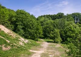 Für den reisetipp botanischer garten osnabrück existiert leider noch keine allgemeine der botanische garten liegt nordwestlich der altstadt am westerberg und wurde bereits 1984 als. Botanischer Garten Osnabruck Wikiwand