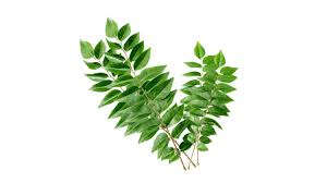 Savesave nama daun herba for later. Daun Kari 1pkt 100g Ez Fresh