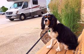 Let us help you with your search! Roadtrip To Winnebago In Forest City Iowa Bren Haas