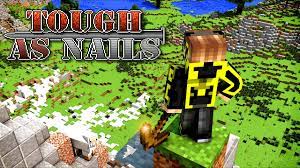Adds more weapons and other stuff … Tough As Nails Mod 1 17 1 1 16 5 Ultimate Realistic Survival 9minecraft Net