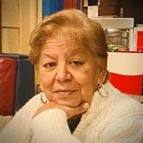 Rosa Amelia Sanchez Obituary