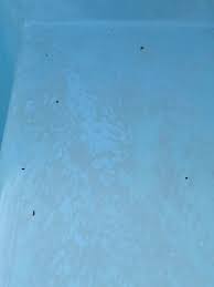 Image result for site:byggahus.se missfärgning