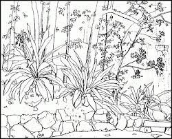 There are 2827 nature coloring page for sale on etsy, and they cost us$ 2.64 on average. Coloring Pages For Adults Nature Coloring Home
