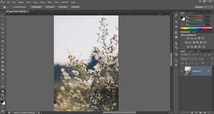 The zoom tool is one of photoshop's handiest and most frequently used utilities. Here Is A Simple Photoshop Zoom Trick You Probably Didn T Know Diy Photography