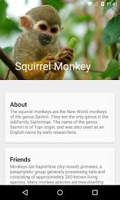 They are also free, but besides paying $5 dollars, it's still all 5 games you can access anytime. Monkeys App For Android Apk Download