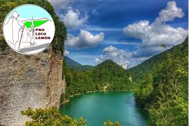 Image result for lamon.