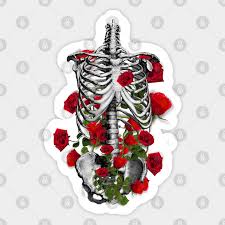 The rib cage is made up of 12 pairs of ribs, 12 thoracic vertebrae, and the sternum. Human Anatomy Rib Cage Human Anatomy Rib Cage Sticker Teepublic
