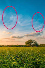 Check spelling or type a new query. What Your Eyes Can Tell You About Your Health Eye Problems