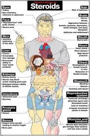 Effects Of Steroids Poster