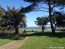 Cote Baie De Quiberon Country Roads Road Sidewalk