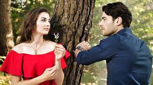 Ahmet mümtaz taylan baki davrak burç kümbetlioğlu ushan çakır mert karabulut özlem tokaslan mert turak. Trt1 In Yeni Dizisi Aslan Ailem Basladi Oyuncu Kadrosu Ve Konusu Televizyon Haberleri