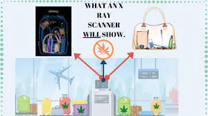 Pain on right side of back that i notice is relieved tremendously each time i take liquid agave weed. How To Fly With Weed On A Plane The Right Way