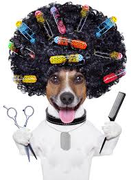 Part-time receptionist wanted at Brisbane dog grooming salon