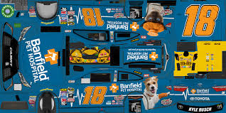 Banfield Pet Hospital Logo Png Pet S Gallery
