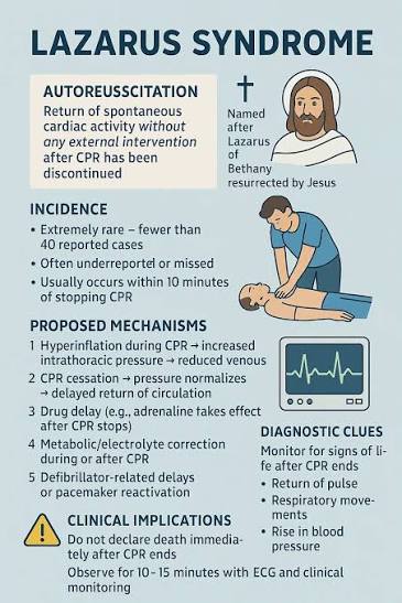 Understanding Lazarus Syndrome, a rare phenomenon of spontaneous  circulation return after CPR