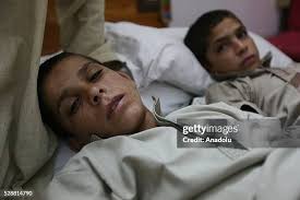 207 Estado Vegetativo Stock Photos, High-Res Pictures, and Images