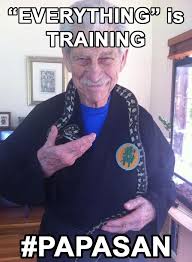 Pin By Pietro Henao On Ninjutsu Ninja And Bujinkan Memes Papasan Ninja