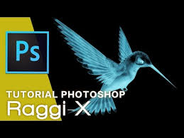 In this photo retouch tutorial, learn how photoshop's reduce noise filter can reduce the in this photo retouch tutorial, we'll look at how to reduce the appearance of noise in an image, including. Tutorial Photoshop Raze X Agaclip Make Your Video Clips