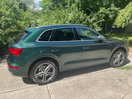 Image result for Azorean Green 2017 Q5