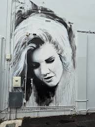 Amazing portrait of Skylar Davies painted by Claire Foxton, in Wollongong,  New South Wales. Artist: @claire_foxton #clairefoxton . . . . . . .  #wollongongstreetart #urbanstreetart #streetartphotography #streetartlovers  #urbanwalls #ilovestreetart ...