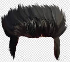 Today, we're going to analyze all those fascinating hairstyles that make anime guys look almost as cool as sakamoto (almost is already saying too. Boy Hairstyle For Picsart Baby Boy Boy Silhouette Anime Boy Soulja Boy 318523 Free Icon Library