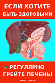 как очистить кровь в домашних условиях за один день Dlya Chego Nuzhno Gret Pechen Cherez Pechen V Minutu Prohodit V Srednem 1 5 L Krovi Iz Nih 1 2 L 80 Krasota I Zdorove Svoimi Rukami Health Anatomy Healthy