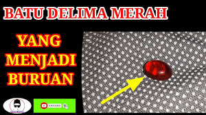 Kelebihan dan kekurangan batu bata merah. Khasiat Batu Serai Youtube