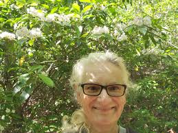 Lots of wonder and blooming trees with a lesson