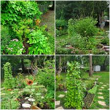 Most butterfly gardens are also a magnet for hummingbirds and beneficial insects. My Happy Florida Butterfly Garden Gardening
