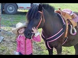 Kid S Party Pony Petting Zoo Rental Orange County Los Angeles 888 501 4f Kids Party Rentals Petting Zoo Rental Zoo Animals