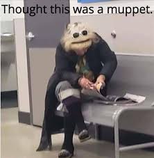 after dark funny meme dump 40 pics funny funny pictures stupid funny