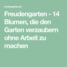 Freudengarten 14 Blumen Die Den Garten Verzaubern Ohne Arbeit Zu Machen Garten Blumen Gartenarbeit
