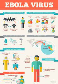 Pin On Infographics