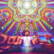 With tenor, maker of gif keyboard, add popular dmt art animated gifs to your conversations. Oakland Becomes First Us City To Decriminalize Dmt Mescaline And Ibogaine Pink Plankton