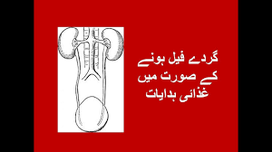 diet in kidney disease in urdu youtube