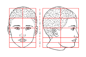 This tutorial shows you how to master the use of proprortions. The Proportions Of The Head