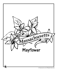 Check spelling or type a new query. Massachusetts State Flower Coloring Page Woo Jr Kids Activities