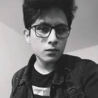 1400+ perfiles de «Robin»