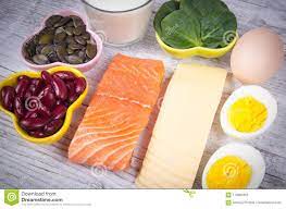 Produkte Die Viel Vitamin D Enthalten Abschluss Oben Stockbild Bild Von Enthalten Gesund 118064365