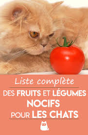 Fruits Et Legumes Interdits Aux Chats Nourriture Chat Alimentation Chat Fruits Et Legumes