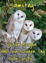 — es ist zwar erst sonntag, aber ich fühle mich schon vom montag belästigt. Guten Morgen Einen Schonen Samstag Wunsche Ich Dir 79 Gbpicsbilder Com