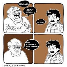 Snowflake Is Something I Heard On The Webtubes Ok Boomer Know Your Meme