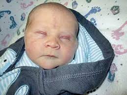 Steuben County Births