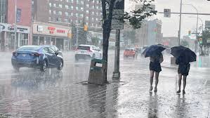 Rain News: Understanding its Impact on Environment and Society