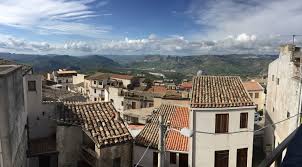 Image result for Sutera debilis